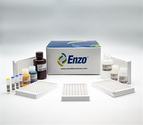 ADMA Direct (Mouse/Rat) ELISA Kit, Enzo Life Sciences 